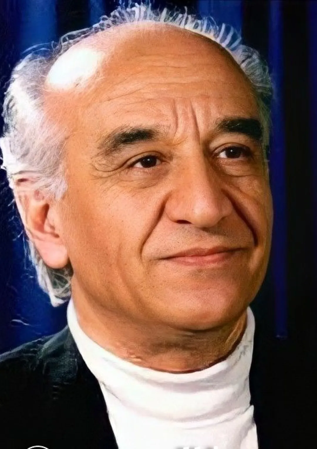 جعبه اطلاعات هنرمند