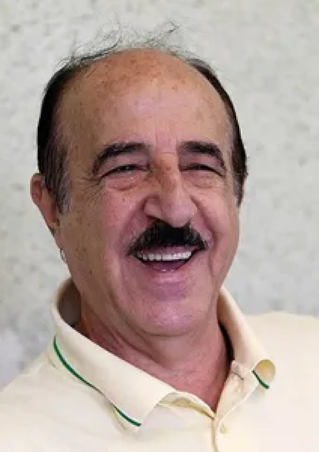 جعبه اطلاعات هنرمند