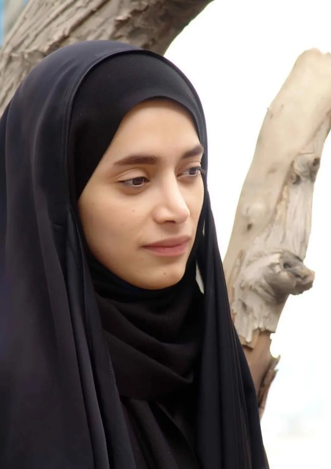 جعبه اطلاعات هنرمند
