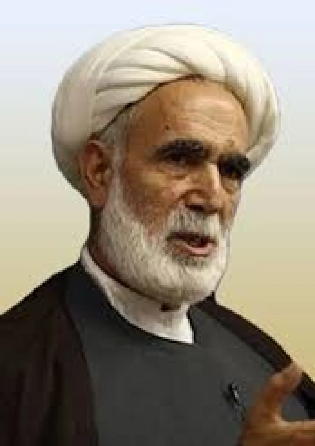جعبه اطلاعات زندگی‌نامه