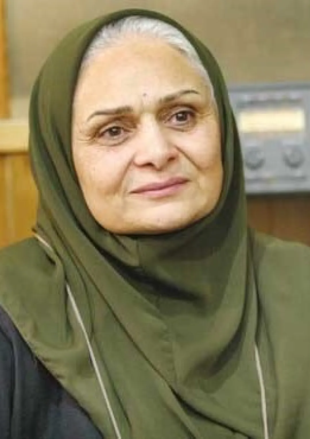 جعبه اطلاعات زندگی‌نامه