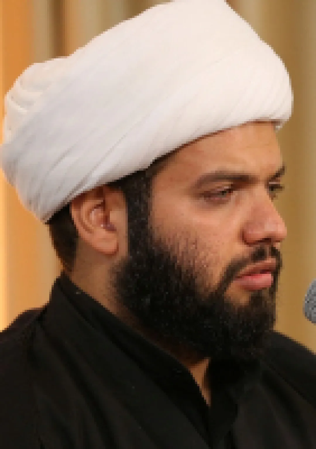 جعبه اطلاعات شاعر و نویسنده
