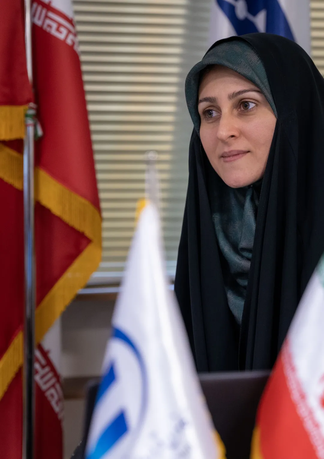 جعبه اطلاعات زندگی‌نامه