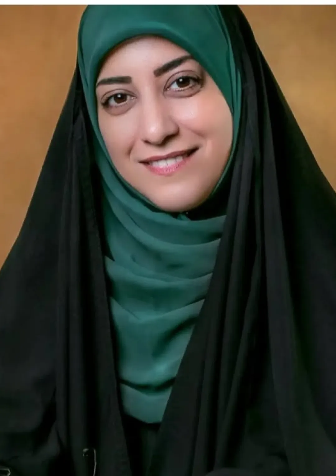 جعبه اطلاعات زندگی‌نامه