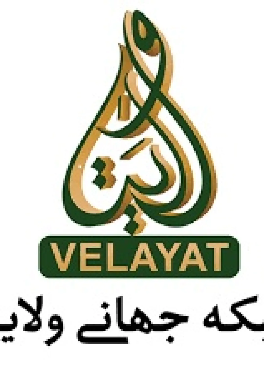 جعبه اطلاعات وبگاه