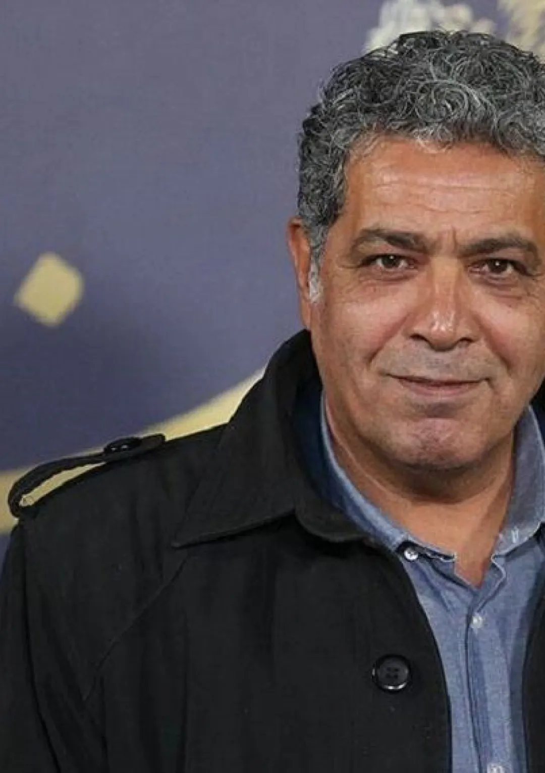 جعبه اطلاعات هنرمند
