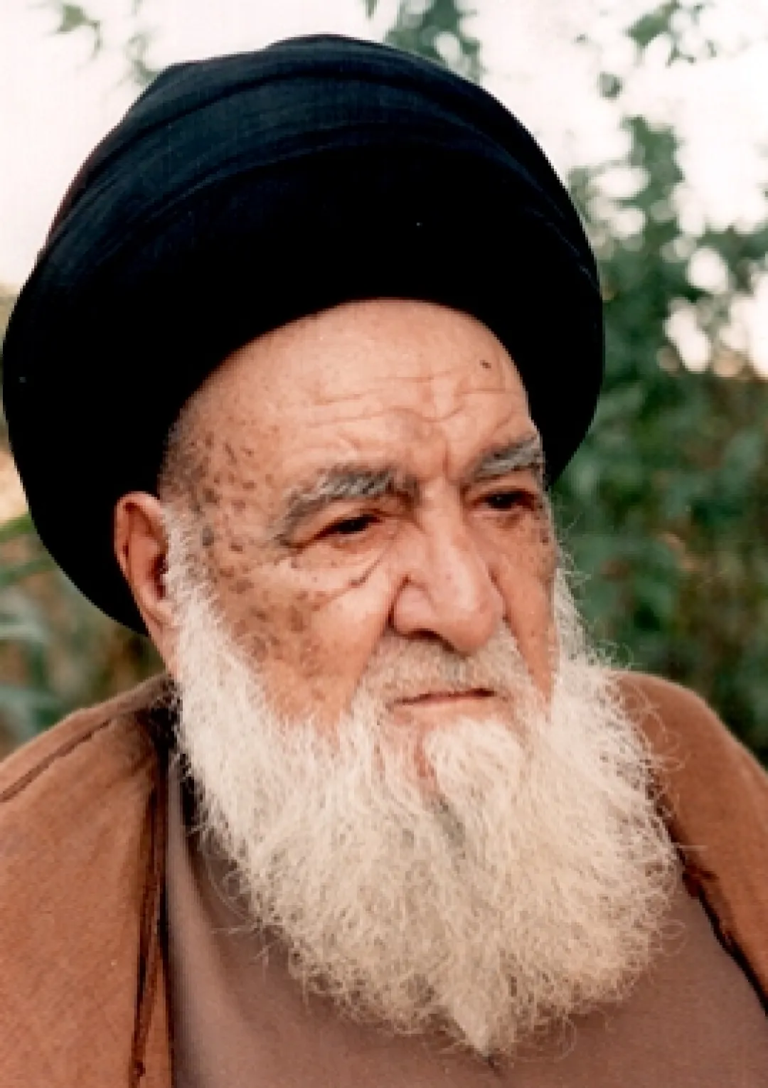 جعبه اطلاعات عالمان