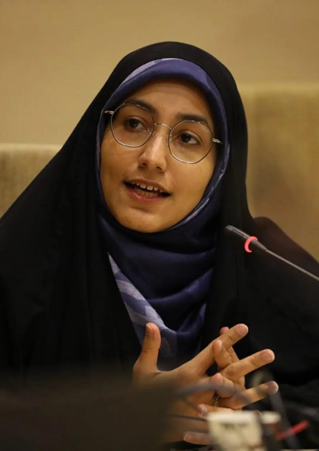 جعبه اطلاعات زندگی‌نامه