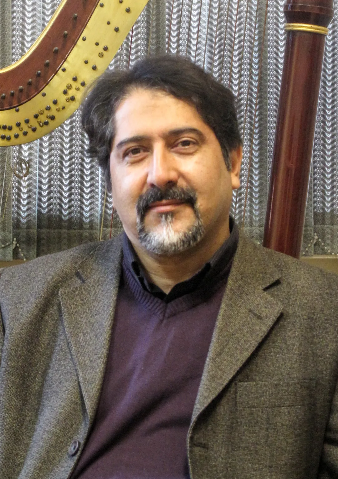 جعبه اطلاعات هنرمند موسیقی