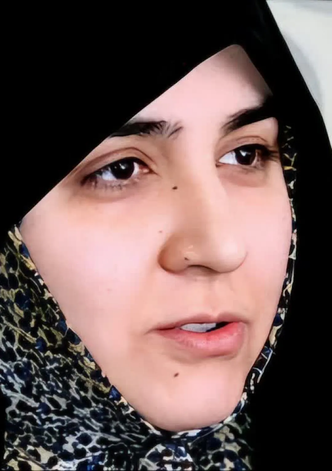 جعبه اطلاعات هنرمند