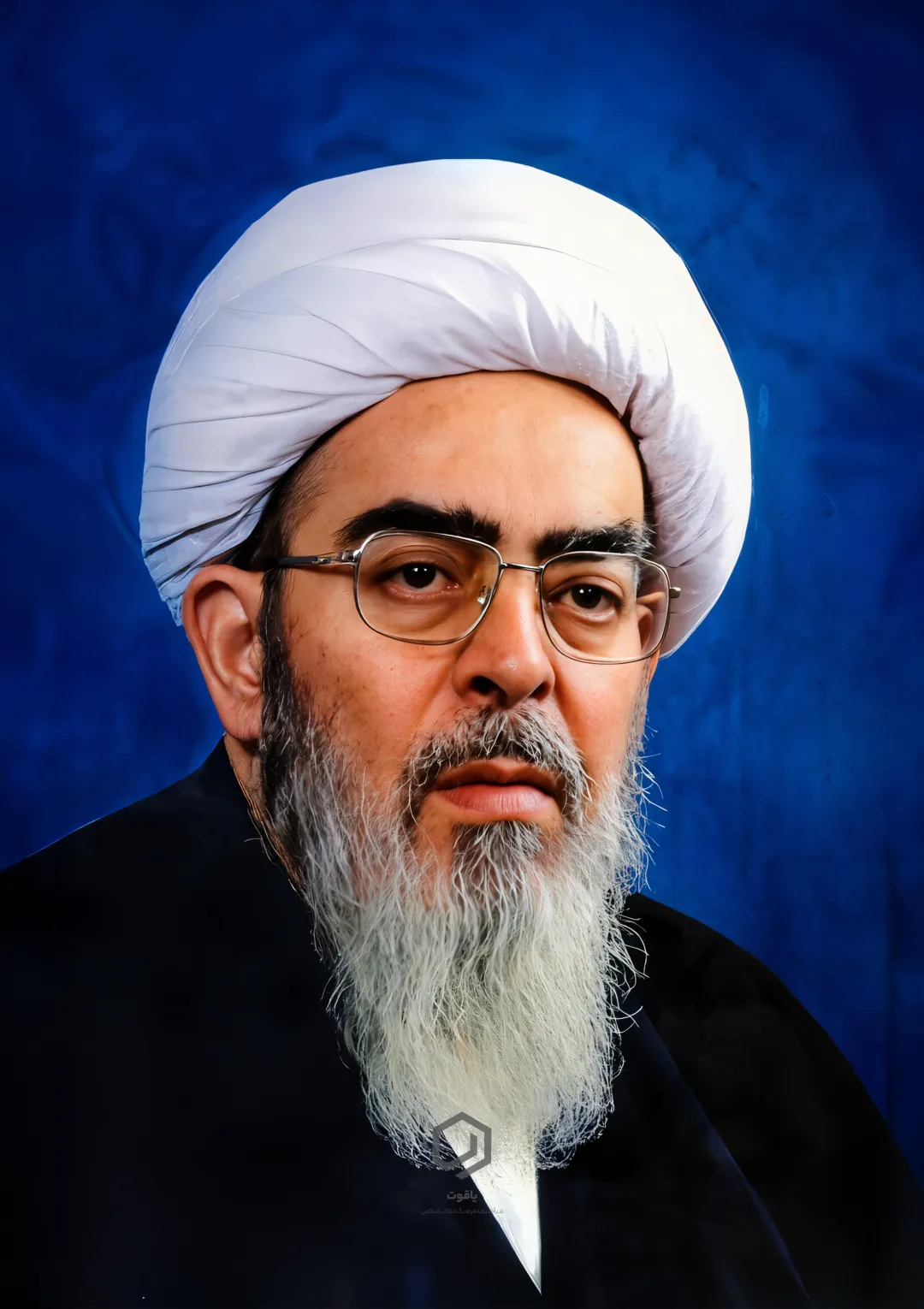 جعبه اطلاعات عالمان