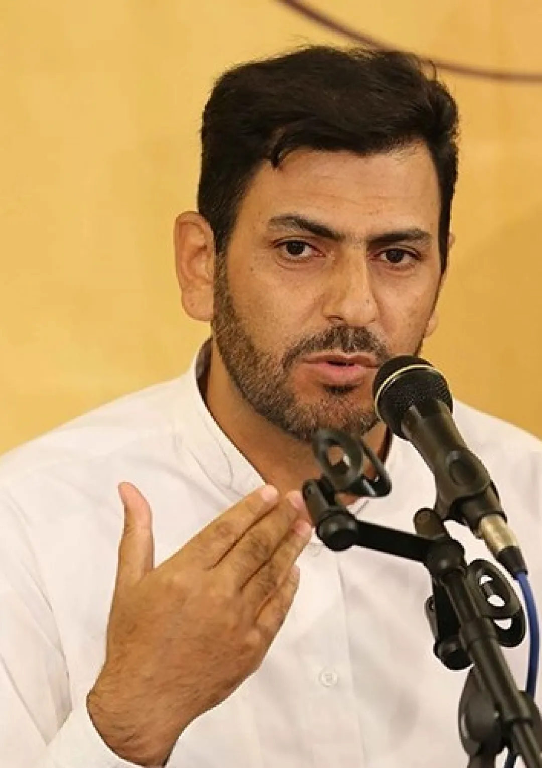 جعبه اطلاعات شاعر و نویسنده