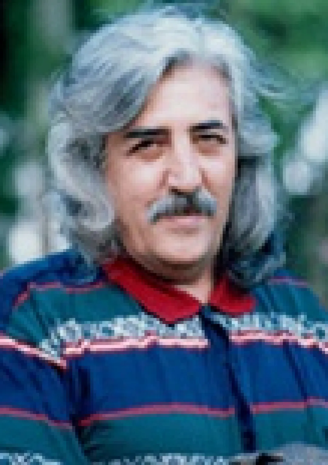جعبه اطلاعات هنرمند