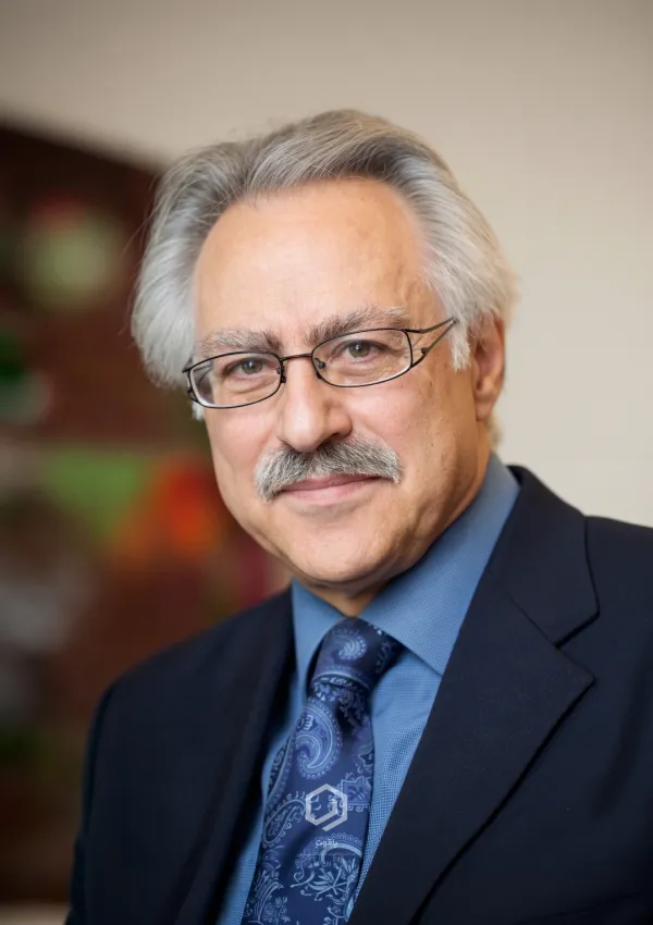سید جواد طباطبایی