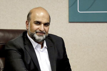 سید مجید پوراحمدی مدیرعامل صندوق اعتباری هنر